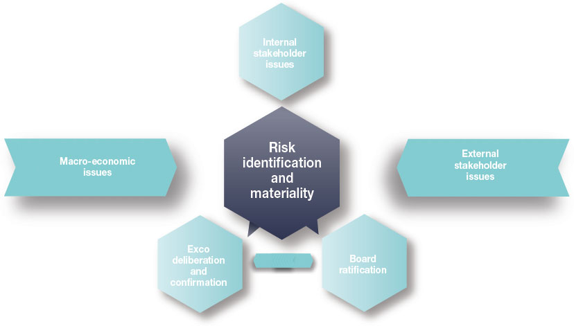 Integrated annual report 2014 | Identifying material business risks and ...